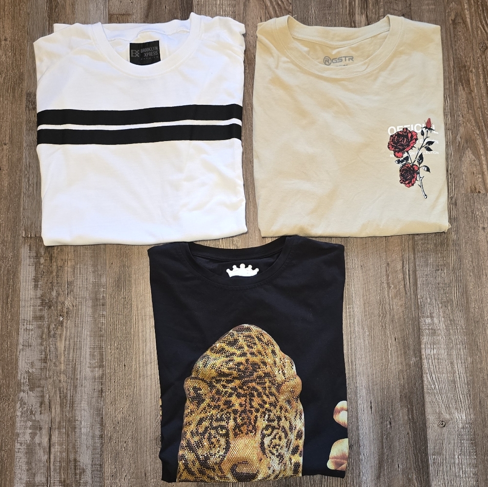Graphic and Striped T-Shirts Set